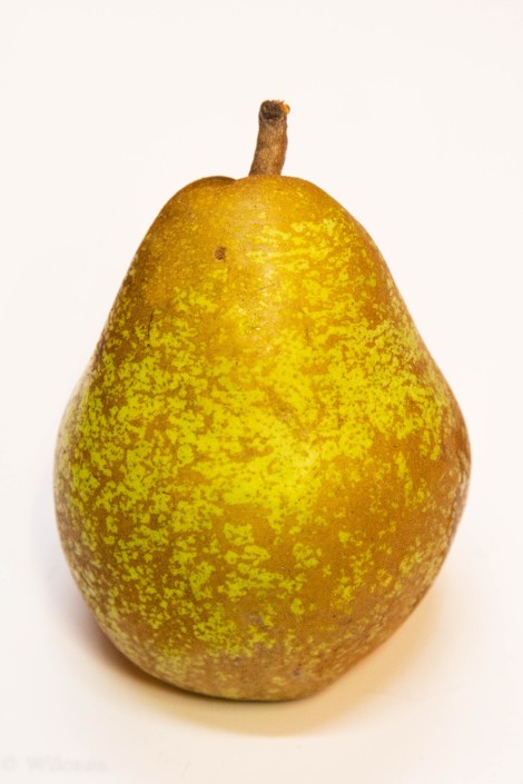 Doyennè du Comice