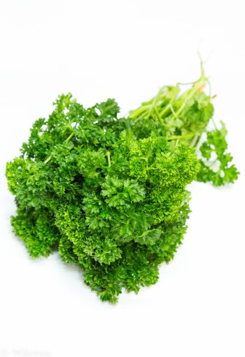 Peterselie, krul