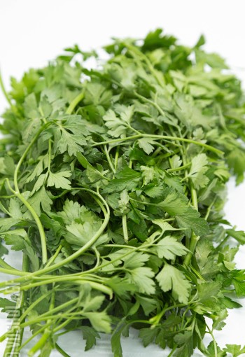 Platte Peterselie